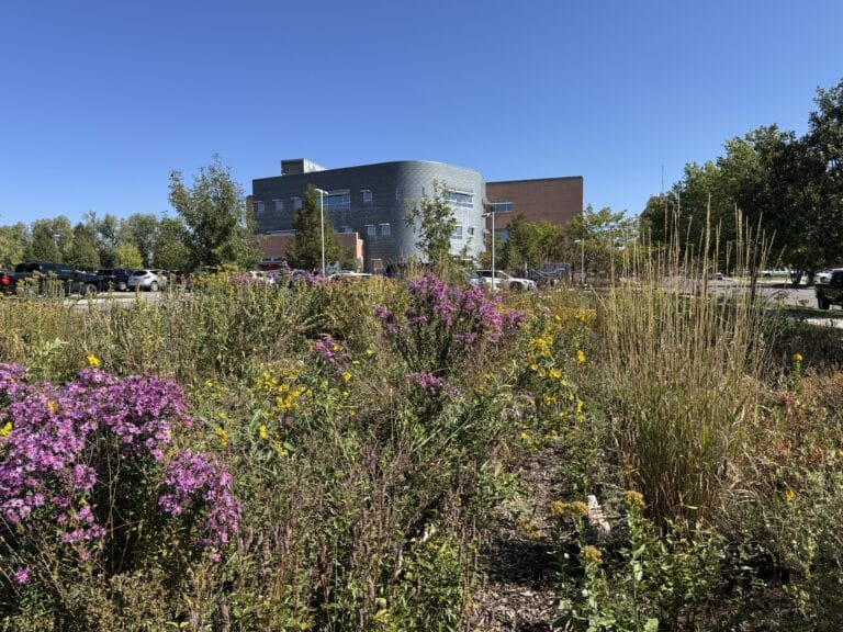 Library with brick and silver paneling, flowers and native grasses surrounding the building, a dynamic social hub and cultural landmark.