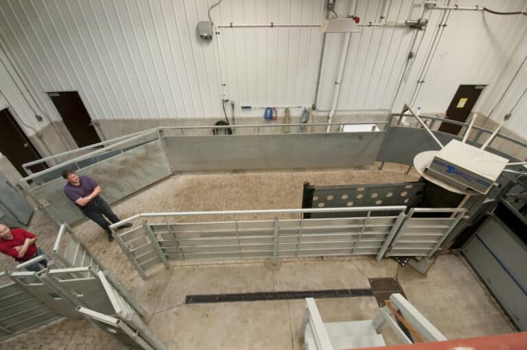 North Dakota State University Beef Research Center