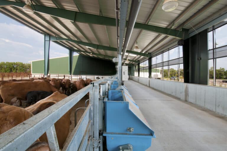 North Dakota State University Beef Research Center